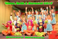 Huetes-Brueh-Karneval-2015-3