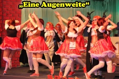 Galasitzung-2016-80