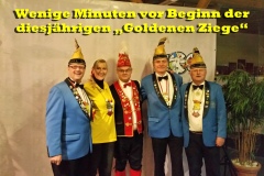 K63 Goldene Ziege