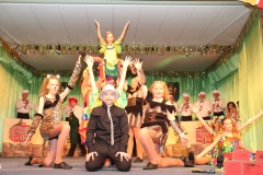 Huetes-Brueh-und-Carneval-2016-01-10-16