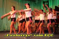Rosenmontag-39