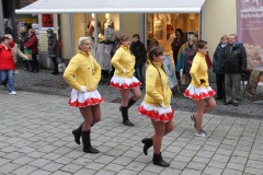 2016-11-11-Rathaussturm-12