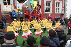 2016-11-11-Rathaussturm-73