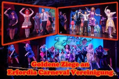 2018-11-24-Goldene-Ziege-3