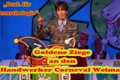 2018-11-24-Goldene-Ziege-7