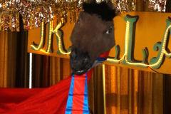 2025-03-02-Kinderkarneval-IKALLA-Teil-1-66