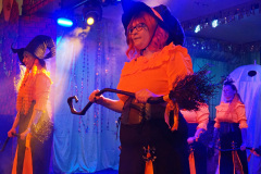 IMG-20260219-WA0113